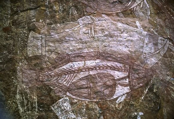 Australia; Northern Territory; Kakadu National Park. An aboriginal cave painting