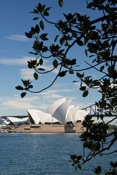 Australia, NSW, Sydney. View of the Sydney Opera House and Harbour Bridge from the
