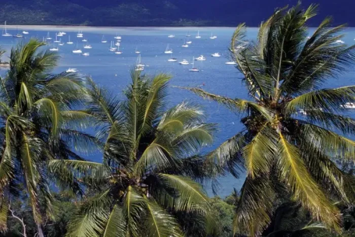 Framed Print : Australia, Queensland. Overview of Shute Harbour, a favorite haven for yachts cruising