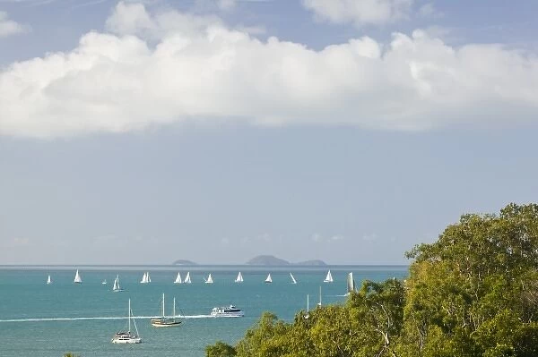 Australia, Queensland, Whitsunday Coast, Airlie Beach. Sailbots in the Harbor