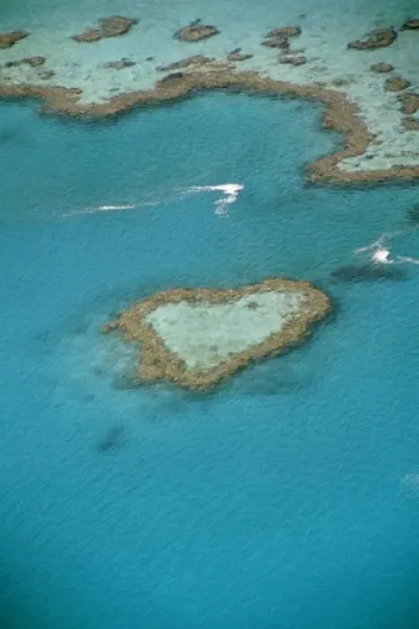 Framed Print : Australia, Queensland, The Whitsunday Islands, National Park. Heart Reef from the air Framed Print : Australia, Queensland, The Whitsunday Islands, National Park. Heart Reef from the air