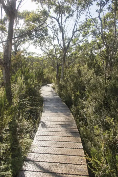 Framed Print : Australia, Tasmania, Tasman National Park. Three Capes Track Cape Hauy boardwalk Framed Print : Australia, Tasmania, Tasman National Park. Three Capes Track Cape Hauy boardwalk