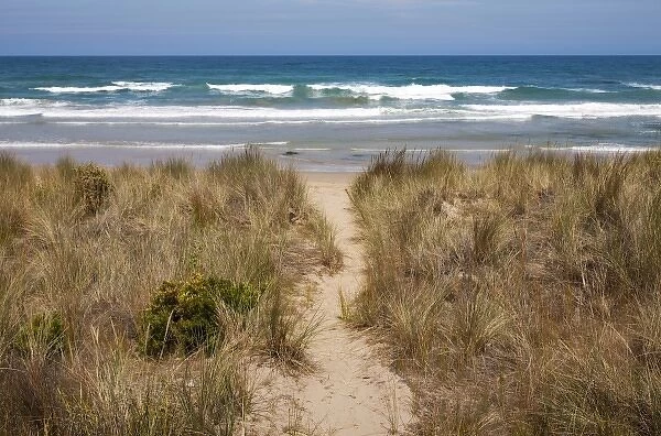 Australia, Victoria, Morning sun lights sandy path through grassy beach along Great