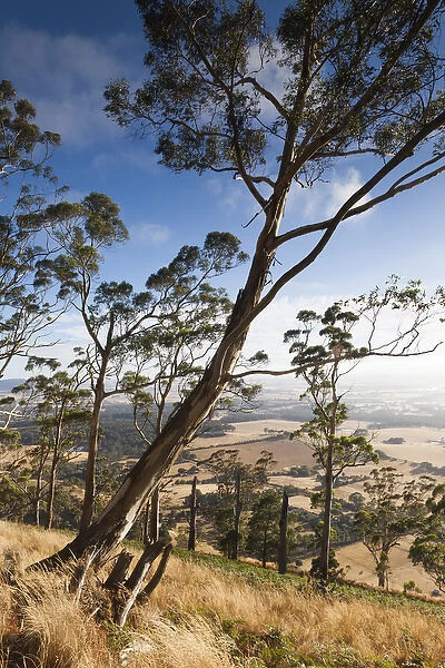 Australia, Victoria, VIC, Buninyong, elevated view of landscape from Mount Buninyong
