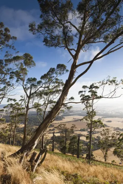 Framed Print : Australia, Victoria, VIC, Buninyong, elevated view of landscape from Mount Buninyong