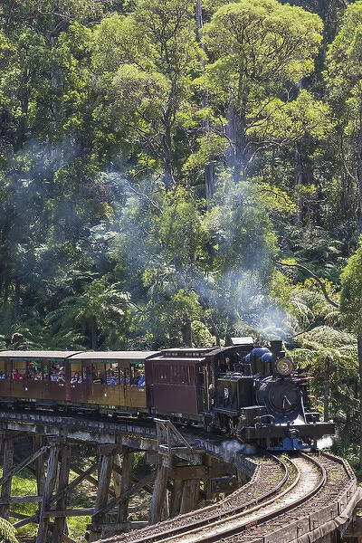 Australia, Victoria, VIC, The Dandenong Ranges, Belgrave, Puffing Billy steam train