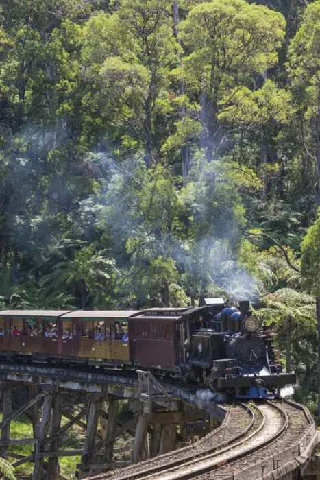 Framed Print : Australia, Victoria, VIC, The Dandenong Ranges, Belgrave, Puffing Billy steam train
