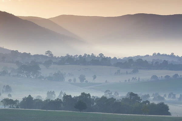 Australia, Victoria, VIC, Yarra Valley, landscape, dawn