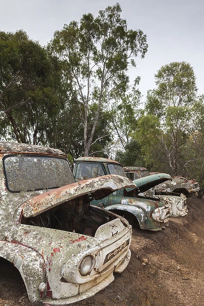 Australia, Western Australia, The Southwest, Boyup Brook, old trucks