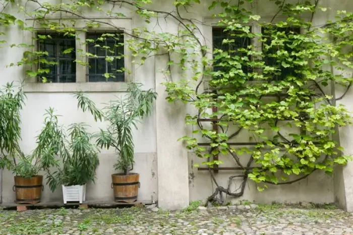 Framed Print : AUSTRIA-STYRIA (Stiermark)- GRAZ: Courtyard off Sporgasse