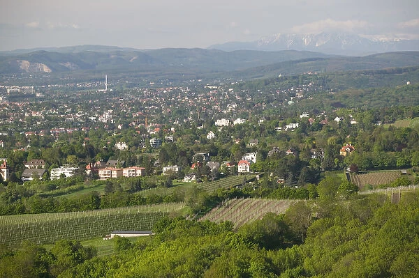 AUSTRIA-Vienna (Grinzing): Leopoldsberg- Mountain View of Dobling & Mountains