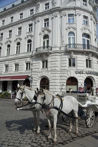 Austria, Vienna. Popular traditional horse-drawn fiaker (carriage) rides around downtown Vienna