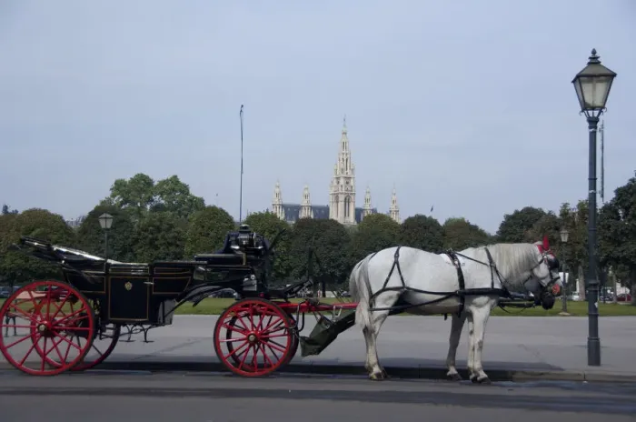 Framed Print : Austria, Vienna. Popular traditional horse-drawn fiaker (carriage) rides