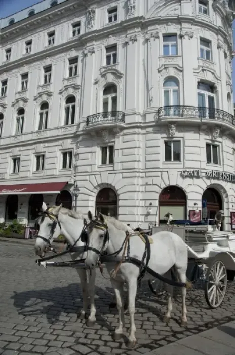 Framed Print : Austria, Vienna. Popular traditional horse-drawn fiaker (carriage) rides around downtown Vienna Framed Print : Austria, Vienna. Popular traditional horse-drawn fiaker (carriage) rides around downtown Vienna