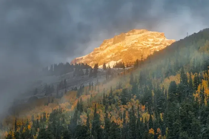 Framed Print : Autumn aspen trees, mist, and mountain slope at sunrise, from Million Dollar Highway Framed Print : Autumn aspen trees, mist, and mountain slope at sunrise, from Million Dollar Highway