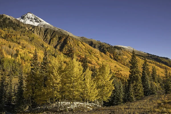 Autumn aspen trees on mountain slope from Million Dollar Highway near Crystal Lake