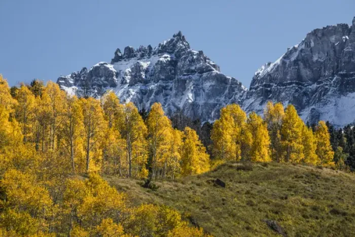 Framed Print : Autumn aspen trees and Sneffels Range, Mount Sneffels Wilderness, Uncompahgre National Forest Framed Print : Autumn aspen trees and Sneffels Range, Mount Sneffels Wilderness, Uncompahgre National Forest