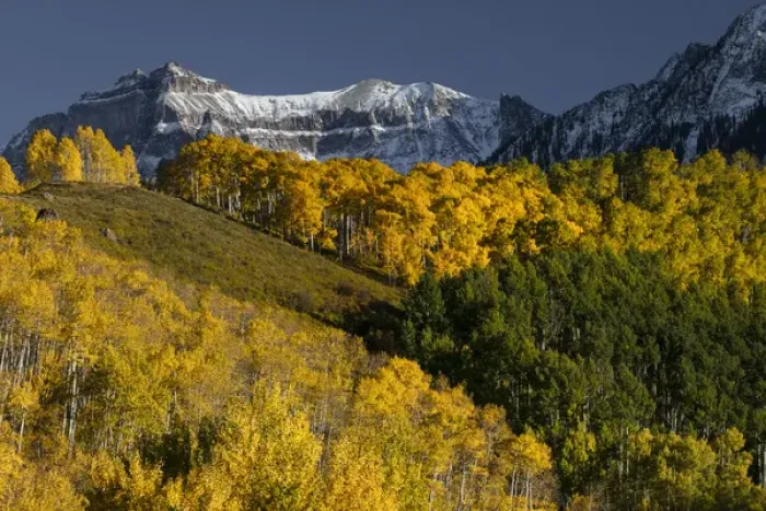 Framed Print : Autumn aspen trees and Sneffels Range, Mount Sneffels Wilderness, Uncompahgre National Forest