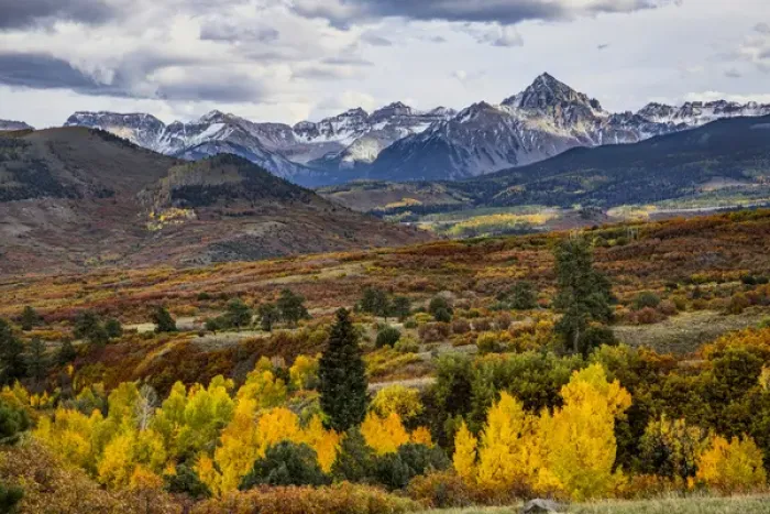 Framed Print : Autumn aspen trees and Sneffels Range, Mount Sneffels Wilderness, Uncompahgre National Forest