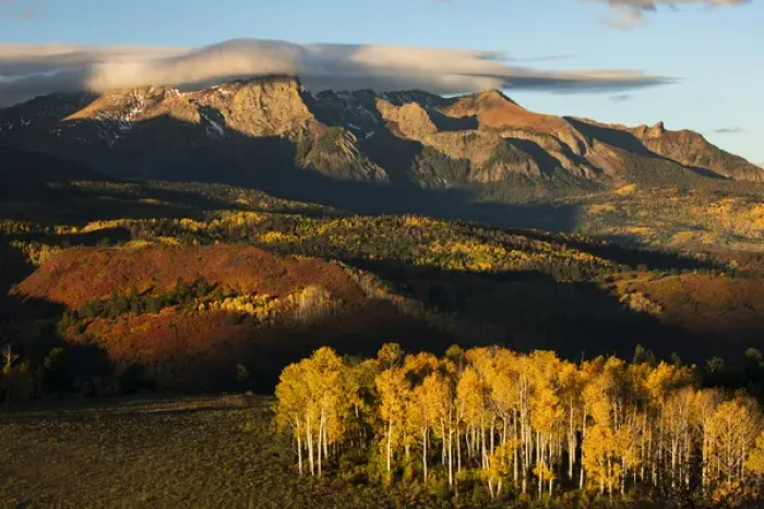 Framed Print : Autumn aspen trees and Sneffels Range at first light, Mount Sneffels Wilderness Framed Print : Autumn aspen trees and Sneffels Range at first light, Mount Sneffels Wilderness