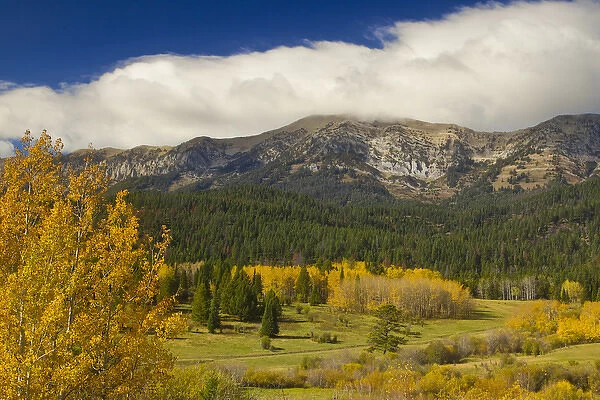 Autumn color accent the Bridger Mountain Range near Bozeman, Montana, USA