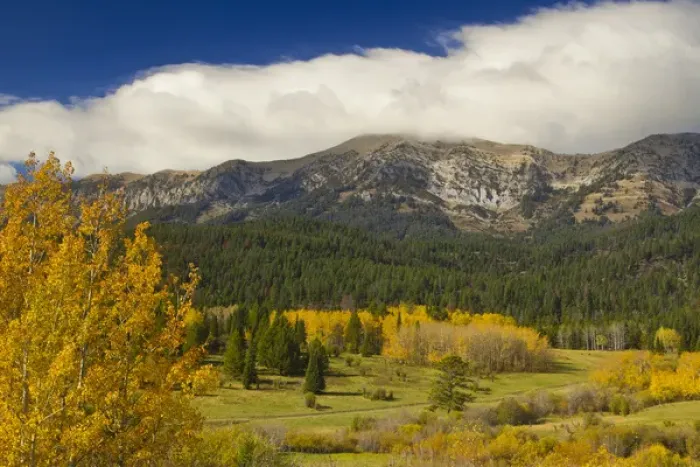 Framed Print : Autumn color accent the Bridger Mountain Range near Bozeman, Montana, USA Framed Print : Autumn color accent the Bridger Mountain Range near Bozeman, Montana, USA