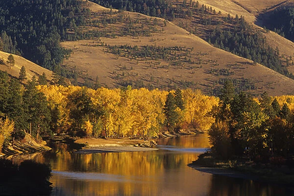 Autumn Color on the Bitterroot River near Missoula, Montana, USA