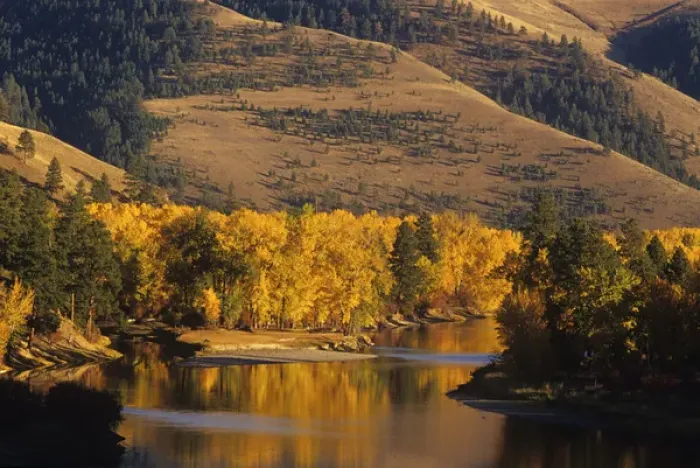 Framed Print : Autumn Color on the Bitterroot River near Missoula, Montana, USA