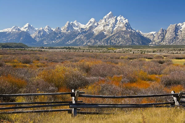autumn color; Grand Tetons; Buck-and_rail Fence; from Cunningham Cabin; Grand Teton
