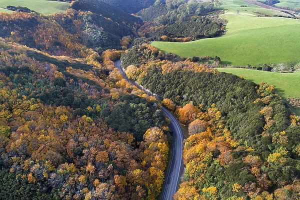Autumn color, Manuka Gorge, Otago, South Island, New Zealand