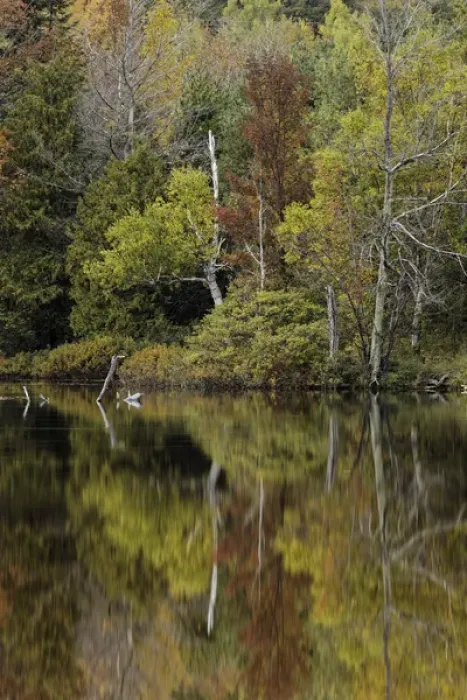 Framed Print : Autumn color reflected on Andrus Lake, Upper Peninsula, Michigan