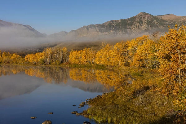 Autumn color reflects into Maskinonge Lake in Waterton Lakes National Park, Alberta