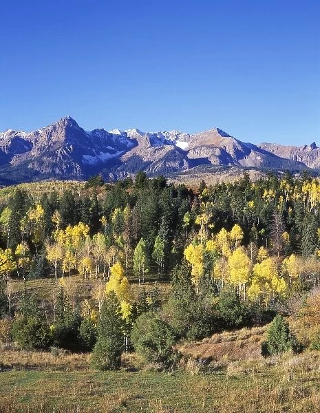 Autumn Color in the San Juan Mountains, Uncompahgre NF, CO, USA