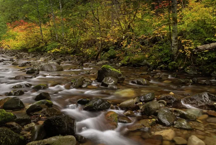 Framed Print : Autumn color along Skate Creek in the Gifford Pinchot National Forest, Washington State, USA Framed Print : Autumn color along Skate Creek in the Gifford Pinchot National Forest, Washington State, USA