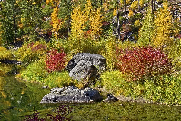 Autumn color, Tumwater Canyon, Wenatchee National Forest, Washington State, USA