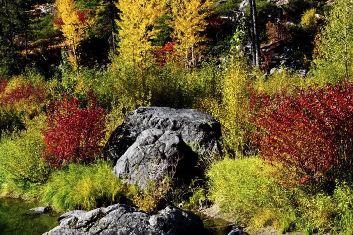 Framed Print : Autumn color, Tumwater Canyon, Wenatchee National Forest, Washington State, USA