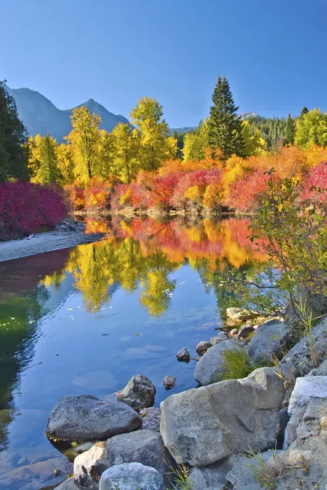 Framed Print : Autumn color, White River, Wenatchee National Forest, Washington State, USA