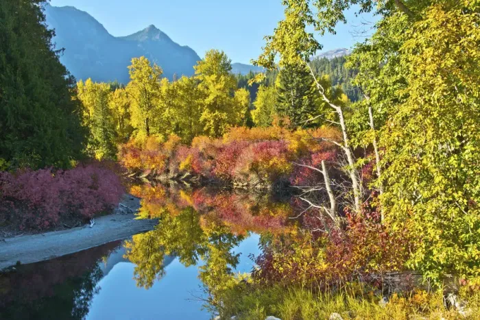 Framed Print : Autumn color, White River, Wenatchee National Forest, Washington State, USA Framed Print : Autumn color, White River, Wenatchee National Forest, Washington State, USA