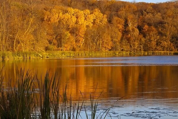 Autumn colors in Maplewood State Park near Pelican Rapids, Minnesota, USA