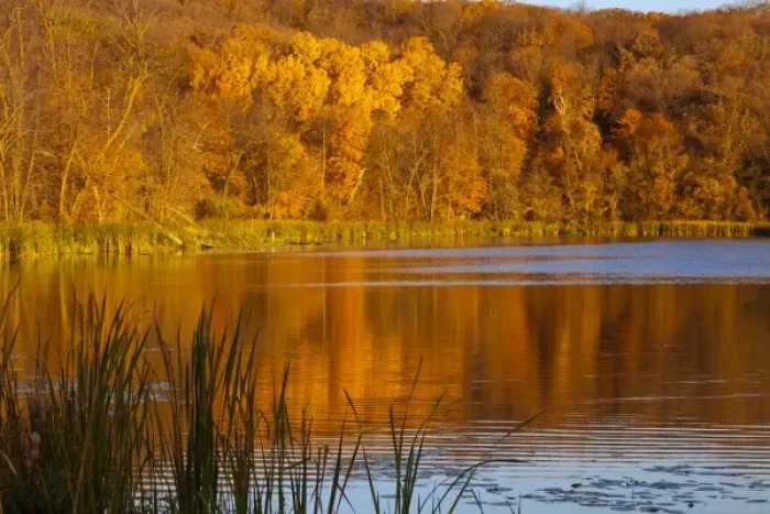 Framed Print : Autumn colors in Maplewood State Park near Pelican Rapids, Minnesota, USA Framed Print : Autumn colors in Maplewood State Park near Pelican Rapids, Minnesota, USA