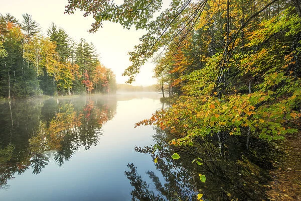 Autumn Colors and mist reflecting on Council Lake at sunrise, Hiawatha National Forest