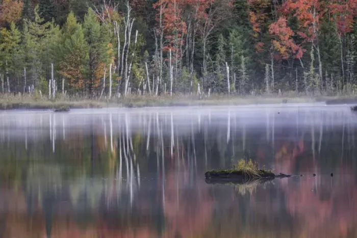 Framed Print : Autumn Colors and mist reflecting on Council Lake at sunrise, Hiawatha National Forest Framed Print : Autumn Colors and mist reflecting on Council Lake at sunrise, Hiawatha National Forest