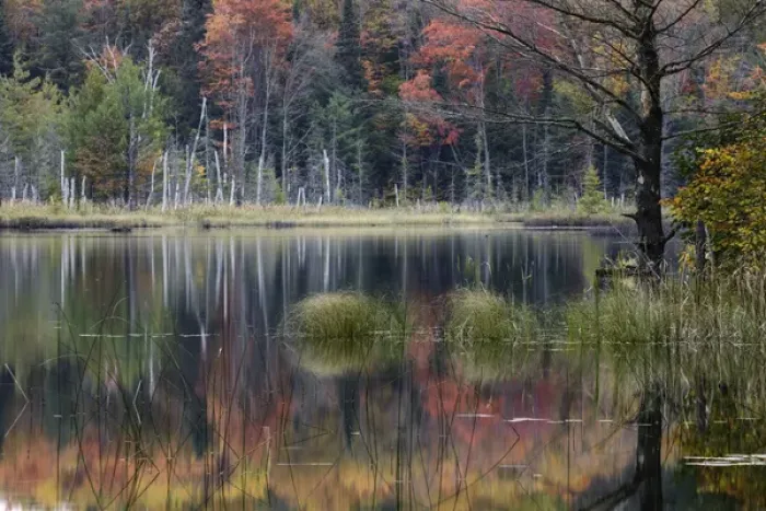 Framed Print : Autumn Colors and mist reflecting on Council Lake at sunrise, Hiawatha National Forest Framed Print : Autumn Colors and mist reflecting on Council Lake at sunrise, Hiawatha National Forest