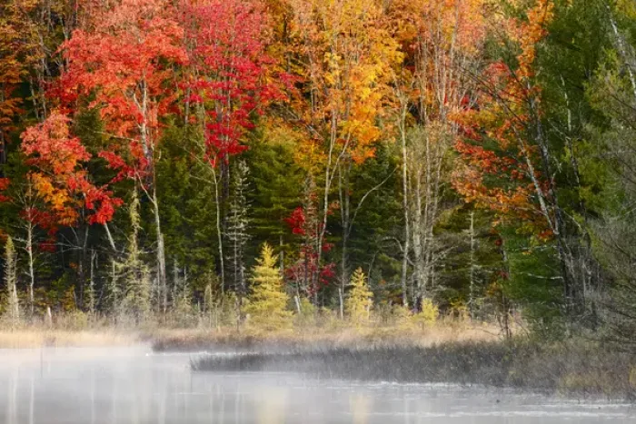 Framed Print : Autumn Colors and mist reflecting on Council Lake at sunrise, Hiawatha National Forest