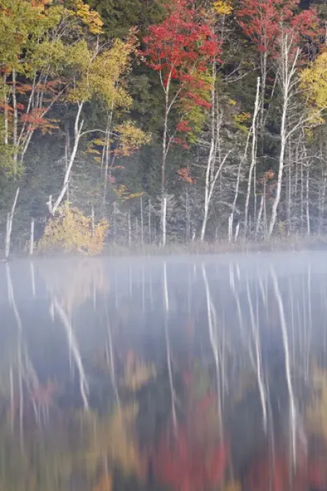 Framed Print : Autumn Colors and mist reflecting on Council Lake at sunrise, Hiawatha National Forest