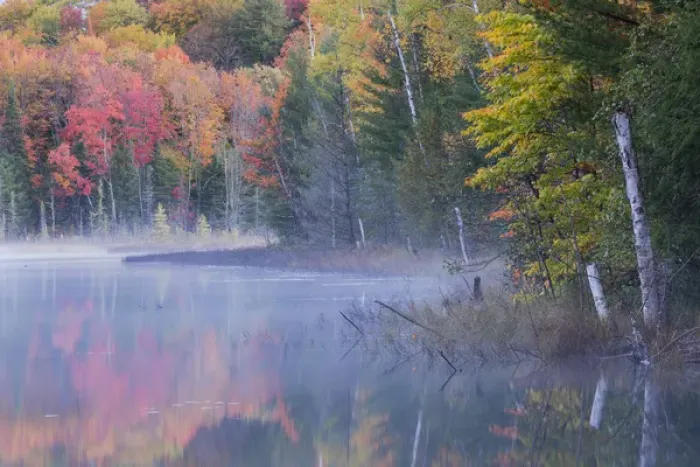 Framed Print : Autumn Colors and mist reflecting on Council Lake at sunrise, Hiawatha National Forest Framed Print : Autumn Colors and mist reflecting on Council Lake at sunrise, Hiawatha National Forest