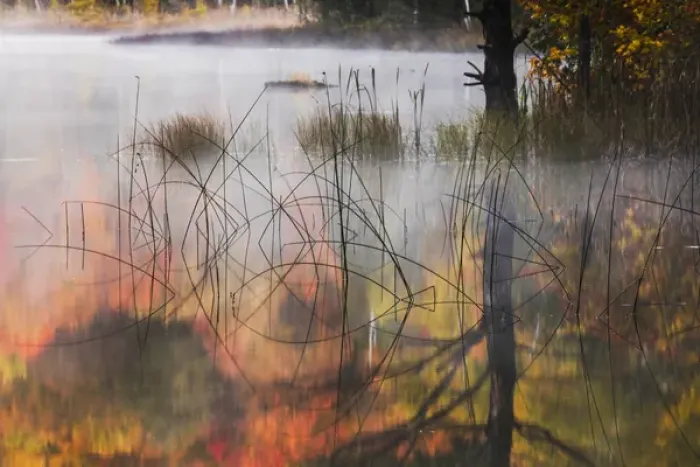 Framed Print : Autumn Colors and mist reflecting on Council Lake at sunrise, Hiawatha National Forest Framed Print : Autumn Colors and mist reflecting on Council Lake at sunrise, Hiawatha National Forest