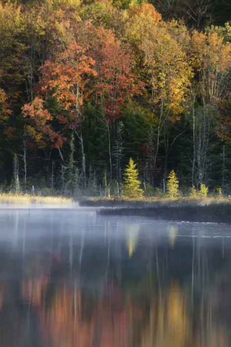 Framed Print : Autumn Colors and mist reflecting on Council Lake at sunrise, Hiawatha National Forest