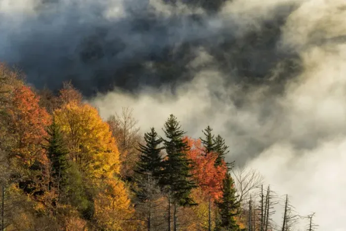 Framed Print : Autumn Colors and mist at sunrise, Blue Ridge Mountains from Blue Ridge Parkway at sunrise Framed Print : Autumn Colors and mist at sunrise, Blue Ridge Mountains from Blue Ridge Parkway at sunrise