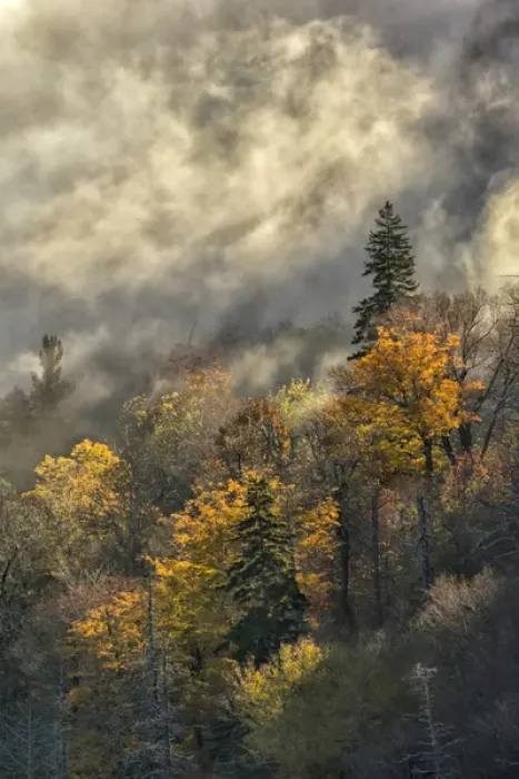 Framed Print : Autumn Colors and mist at sunrise, Blue Ridge Mountains from Blue Ridge Parkway at sunrise Framed Print : Autumn Colors and mist at sunrise, Blue Ridge Mountains from Blue Ridge Parkway at sunrise